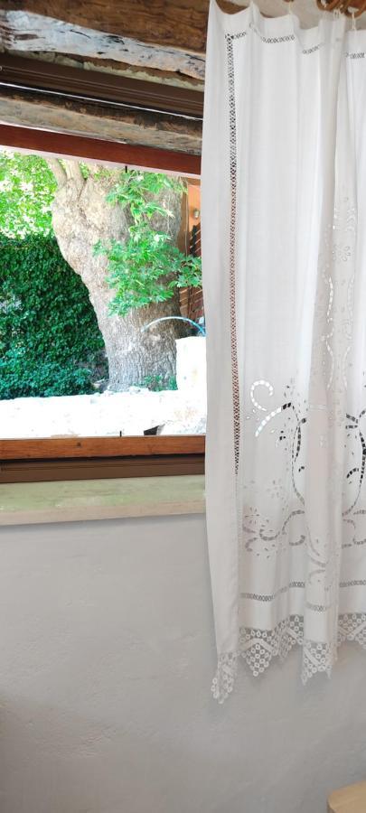 Feneri 3 -Cozy Rustic Apt 20' From Elafonisi Beach 외부 사진